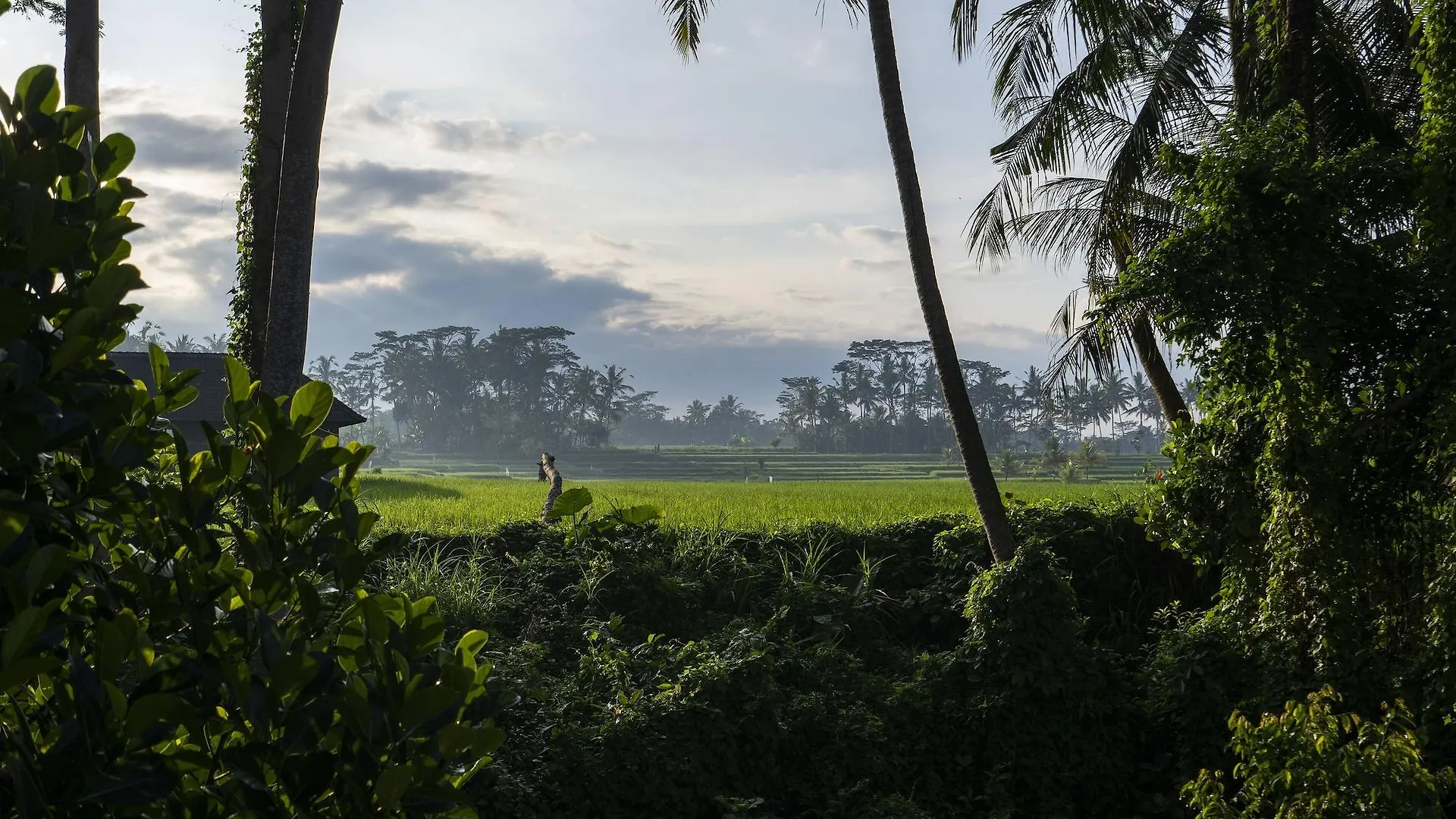 Hotel Kubu Bali Baik Villa & Resort Ubud